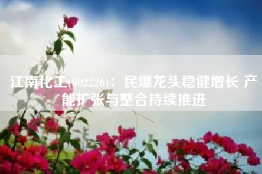 江南化工(002226)：民爆龙头稳健增长 产能扩张与整合持续推进