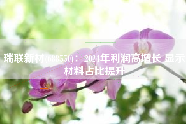 瑞联新材(688550)：2024年利润高增长 显示材料占比提升