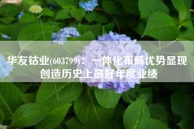 华友钴业(603799)：一体化布局优势显现 创造历史上最好年度业绩