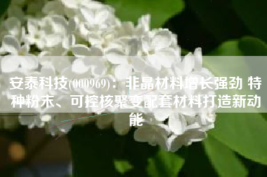 安泰科技(000969)：非晶材料增长强劲 特种粉末、可控核聚变配套材料打造新动能