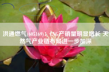 洪通燃气(605169)：LNG产销量明显增长 天然气产业链布局进一步加深