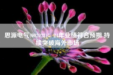 思源电气(002028)：24年业绩符合预期 持续突破海外市场