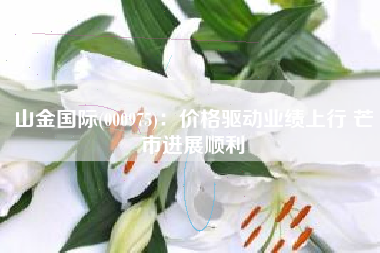 山金国际(000975)：价格驱动业绩上行 芒市进展顺利
