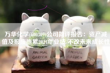万华化学(600309)公司简评报告：资产减值及报废拖累2024年业绩 不改未来成长性