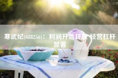 寒武纪(688256)：利润开始释放 经营杠杆显著