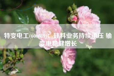 特变电工(600089)：硅料业务持续承压 输变电稳健增长