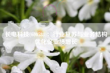 长电科技(600584)：行业复苏与业务结构优化促业绩增长