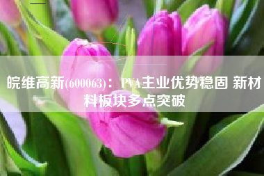 皖维高新(600063)：PVA主业优势稳固 新材料板块多点突破