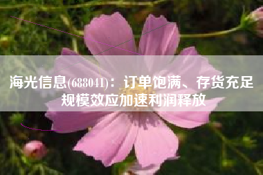 海光信息(688041)：订单饱满、存货充足 规模效应加速利润释放
