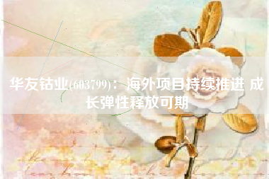 华友钴业(603799)：海外项目持续推进 成长弹性释放可期