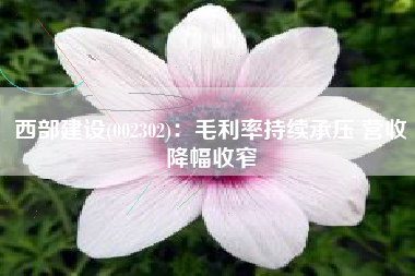 西部建设(002302)：毛利率持续承压 营收降幅收窄
