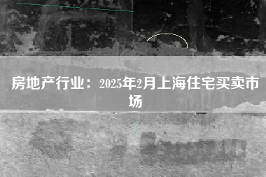 房地产行业：2025年2月上海住宅买卖市场