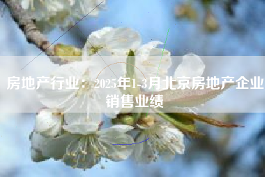 房地产行业：2025年1-3月北京房地产企业销售业绩