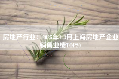 房地产行业：2025年1-3月上海房地产企业销售业绩TOP20