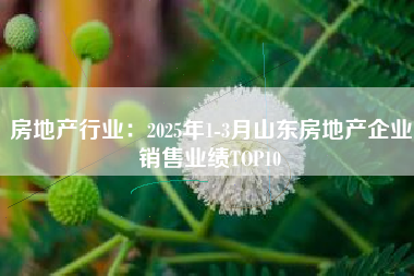 房地产行业：2025年1-3月山东房地产企业销售业绩TOP10
