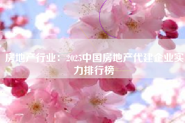 房地产行业：2025中国房地产代建企业实力排行榜