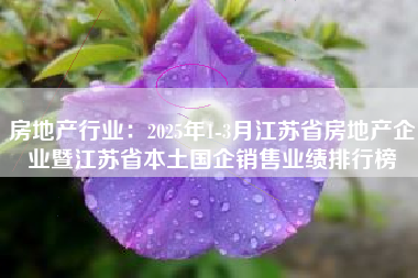 房地产行业：2025年1-3月江苏省房地产企业暨江苏省本土国企销售业绩排行榜