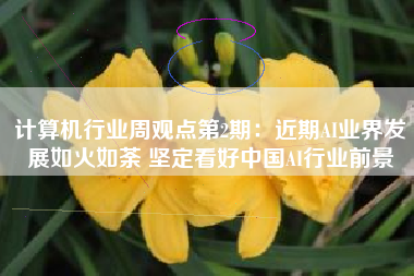 计算机行业周观点第2期：近期AI业界发展如火如荼 坚定看好中国AI行业前景