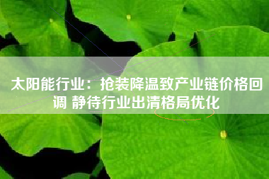 太阳能行业：抢装降温致产业链价格回调 静待行业出清格局优化