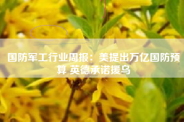 国防军工行业周报：美提出万亿国防预算 英德承诺援乌