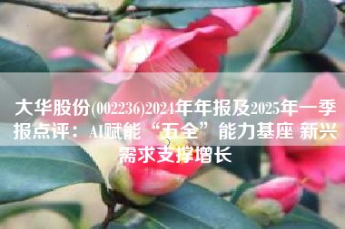 大华股份(002236)2024年年报及2025年一季报点评：AI赋能“五全”能力基座 新兴需求支撑增长