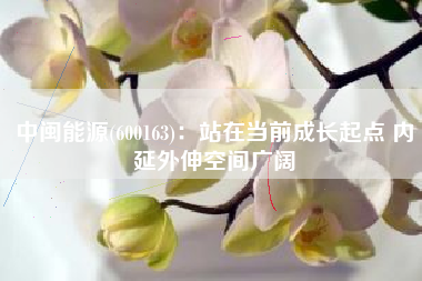 中闽能源(600163)：站在当前成长起点 内延外伸空间广阔