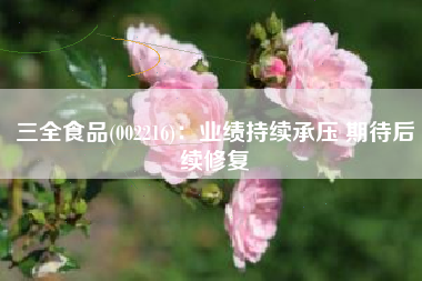 三全食品(002216)：业绩持续承压 期待后续修复