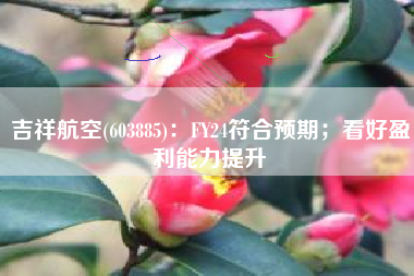 吉祥航空(603885)：FY24符合预期；看好盈利能力提升