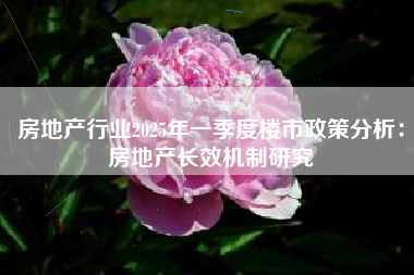 房地产行业2025年一季度楼市政策分析：房地产长效机制研究