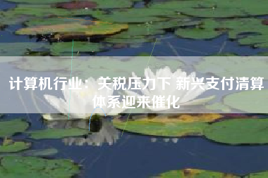 计算机行业：关税压力下 新兴支付清算体系迎来催化