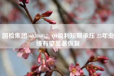 国检集团(603060)：Q4盈利短期承压 25年业绩有望显著恢复