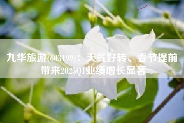 九华旅游(603199)：天气好转、春节提前 带来2025Q1业绩增长显著
