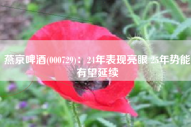 燕京啤酒(000729)：24年表现亮眼 25年势能有望延续