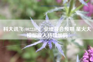 科大讯飞(002230)：业绩符合预期 星火大模型投入持续加码