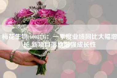 梅花生物(600873)：一季度业绩同比大幅增长 新项目落地增强成长性