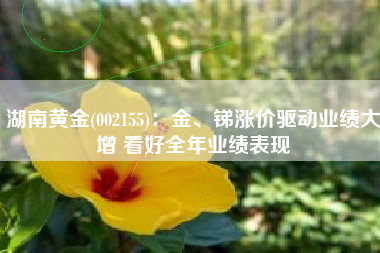 湖南黄金(002155)：金、锑涨价驱动业绩大增 看好全年业绩表现