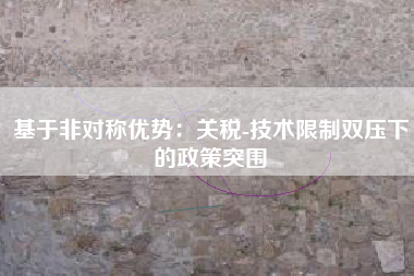 基于非对称优势：关税-技术限制双压下的政策突围