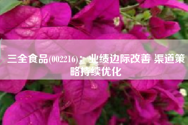 三全食品(002216)：业绩边际改善 渠道策略持续优化