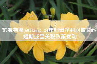东航物流(601156)：24年归母净利润增长8% 短期或受关税政策扰动