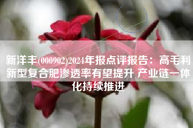 新洋丰(000902)2024年报点评报告：高毛利新型复合肥渗透率有望提升 产业链一体化持续推进