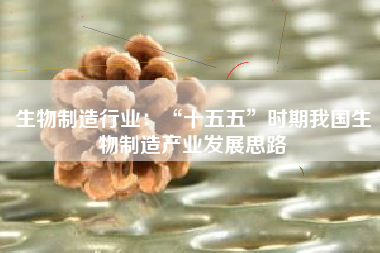生物制造行业：“十五五”时期我国生物制造产业发展思路