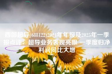 西部超导(688122)2024年年报及2025年一季报点评：超导业务表现亮眼 一季度归净利润同比大增
