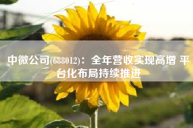 中微公司(688012):全年营收实现高增 平台化布局持续推进 中微公司(688012):全年营收实现高增 平台化布局持续推进