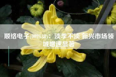 顺络电子(002138)：淡季不淡 新兴市场领域增速显著