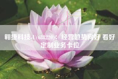 翱捷科技-U(688220)：经营趋势向好 看好定制业务卡位