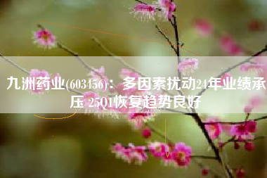 九洲药业(603456)：多因素扰动24年业绩承压 25Q1恢复趋势良好