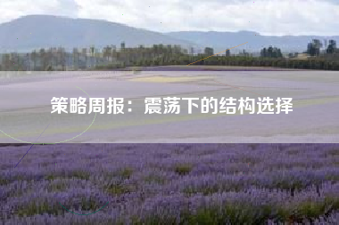策略周报：震荡下的结构选择