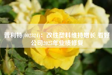普利特(002324)：改性塑料维持增长 看好公司2025年业绩修复
