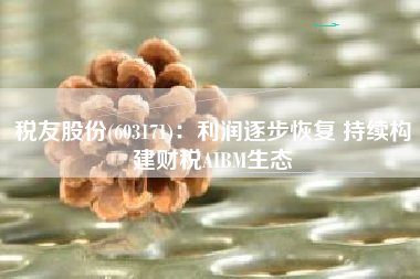 税友股份(603171)：利润逐步恢复 持续构建财税AIBM生态