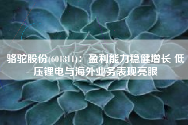 骆驼股份(601311)：盈利能力稳健增长 低压锂电与海外业务表现亮眼